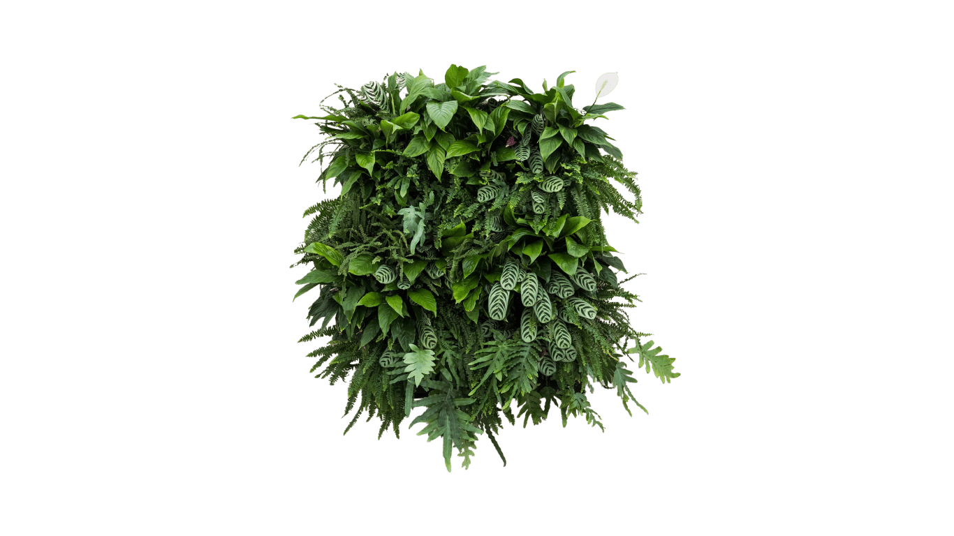 Miss-Green-17