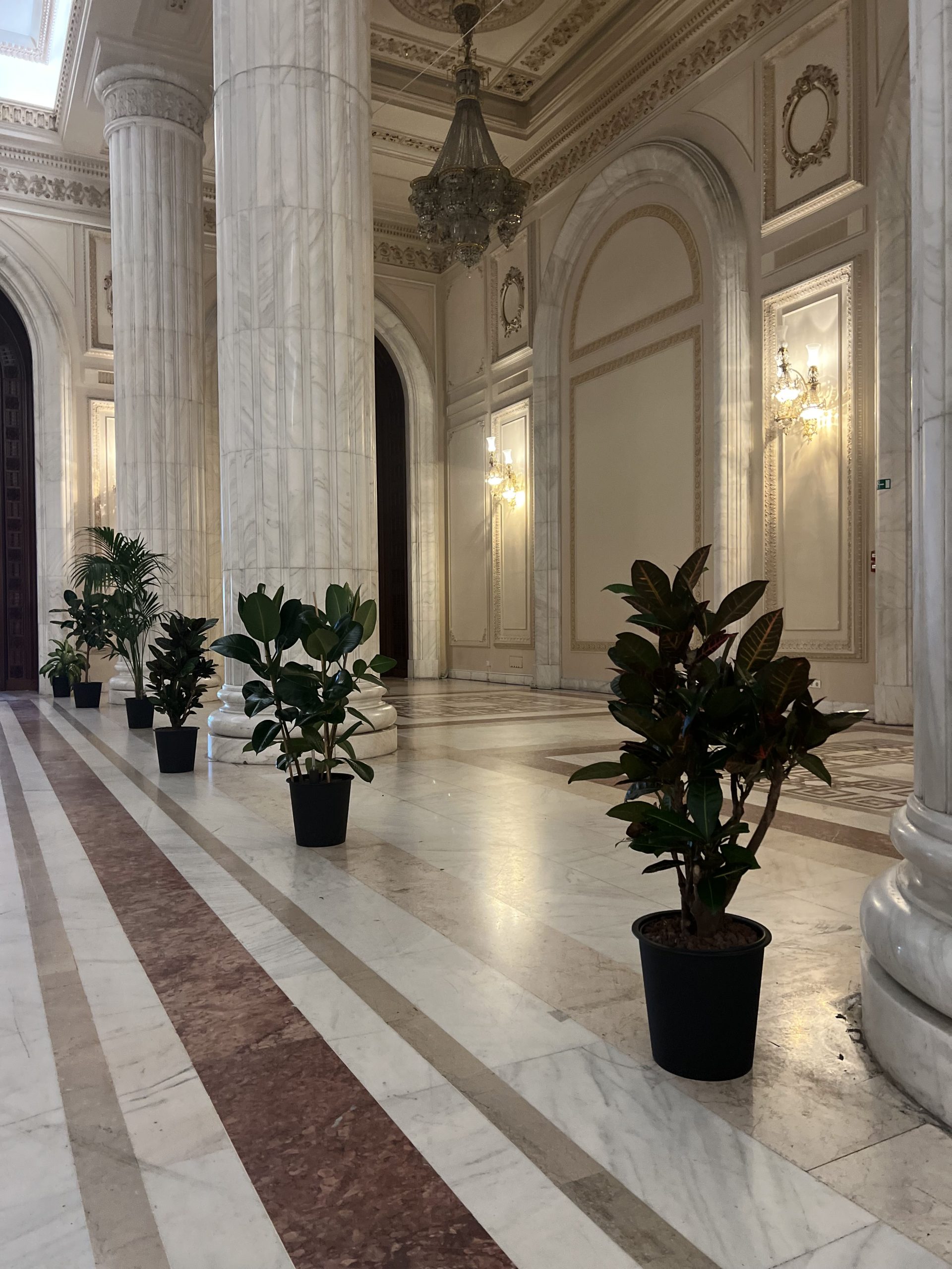 Plante naturale integrate într-un spațiu de eveniment