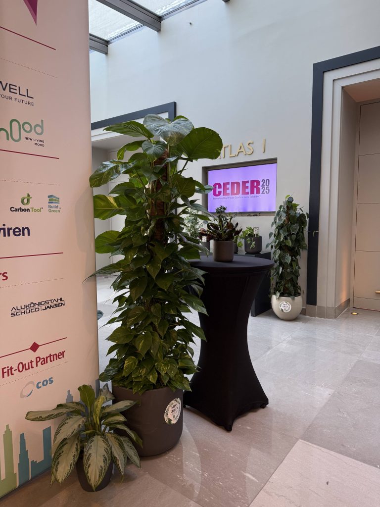 Amenajare cu plante naturale Miss Green pentru eveniment