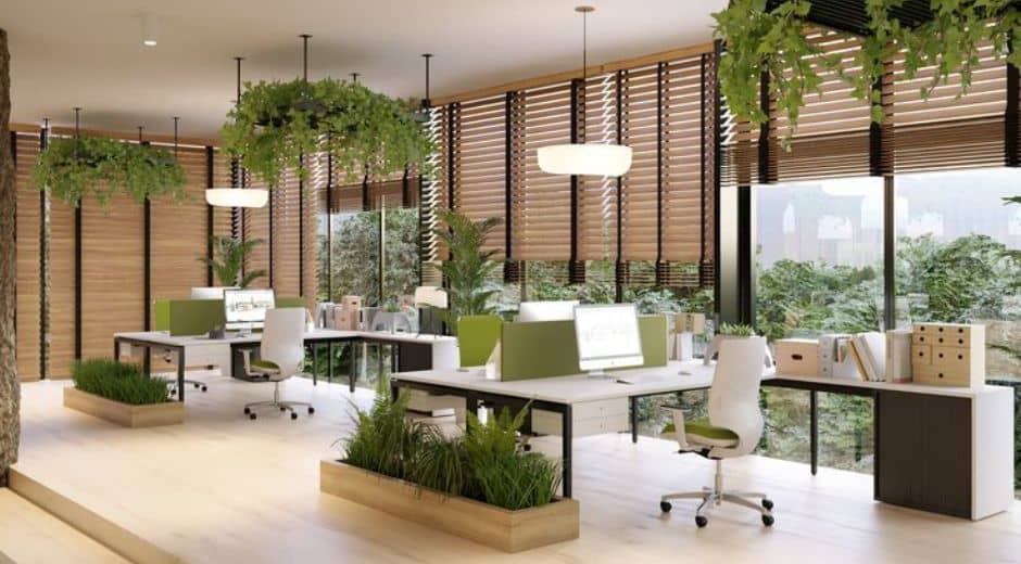 Amenajare birou cu plante naturale