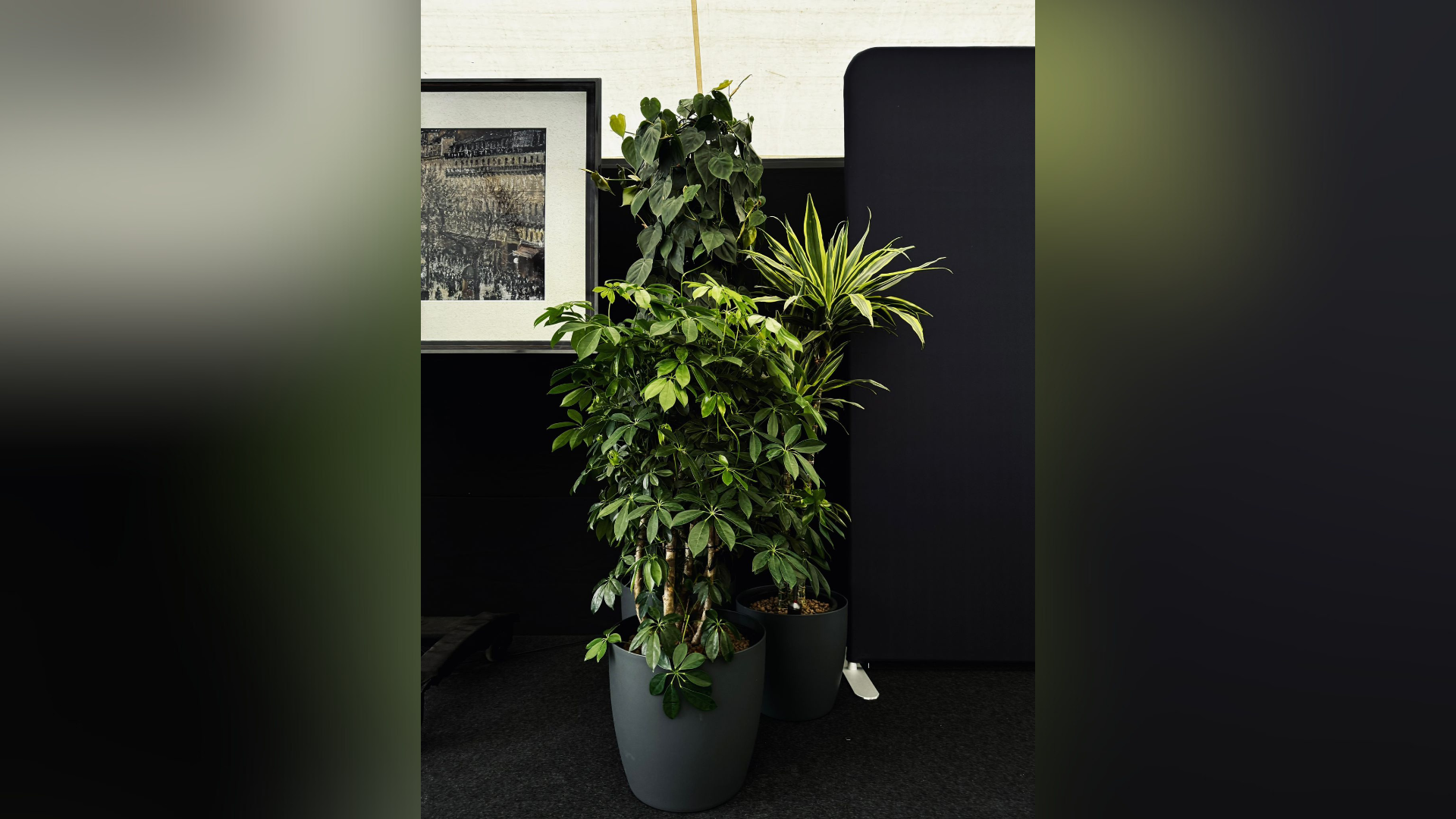 leasing plante birouri mari pentru spatii corporate moderne