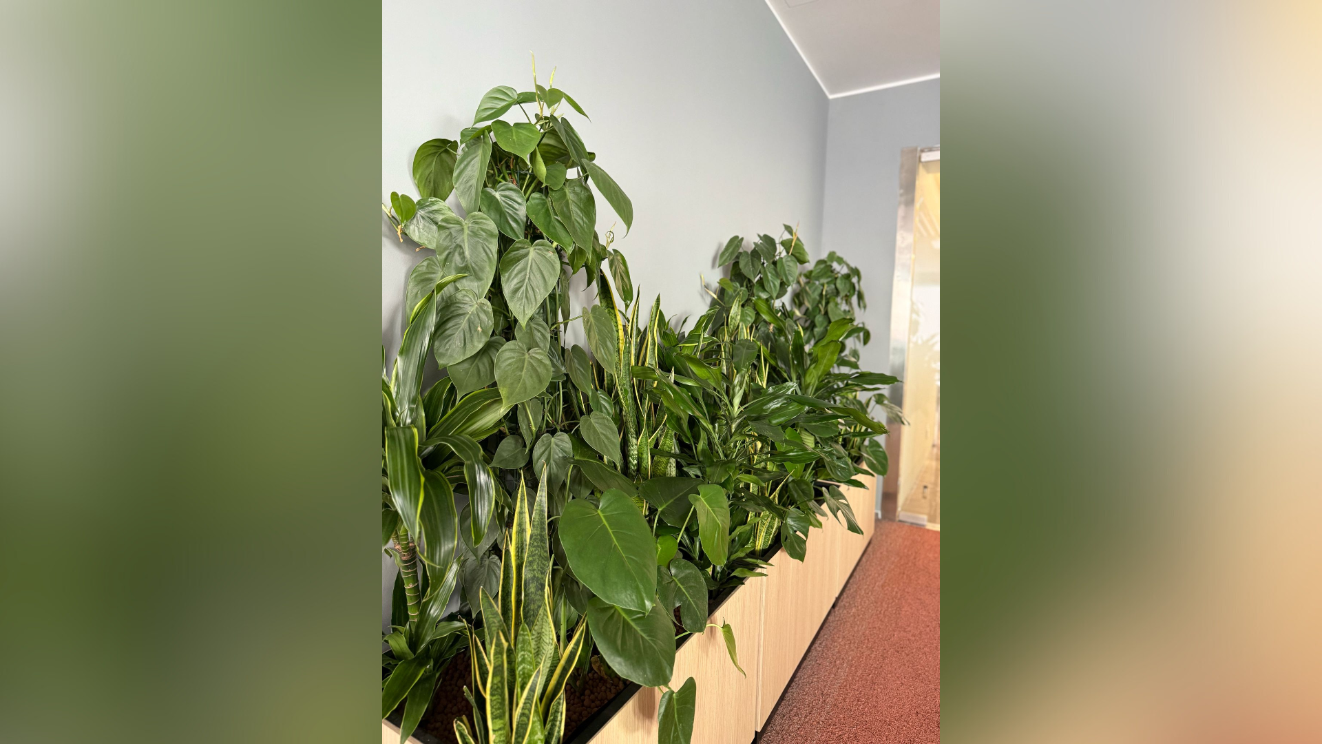 plante cladiri birouri pentru amenajare corporate moderna