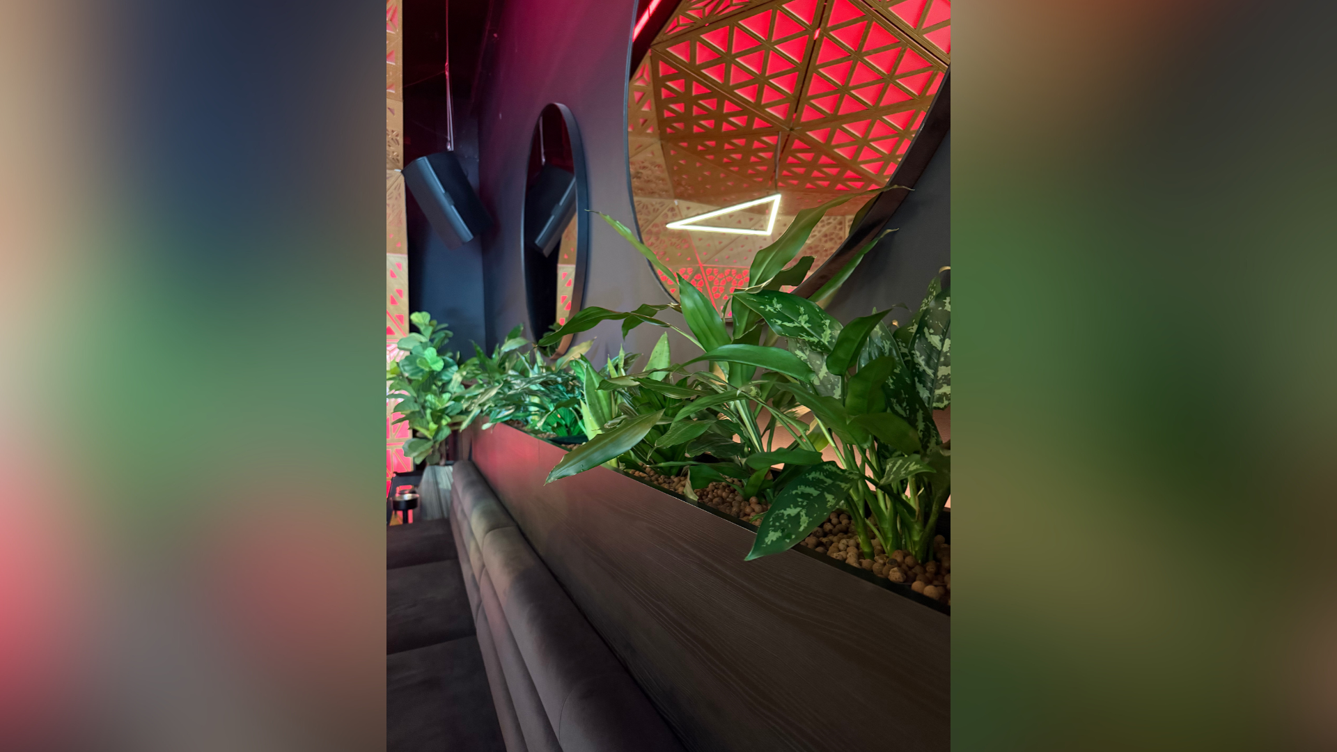 servicii plante birouri pentru spatii corporate moderne