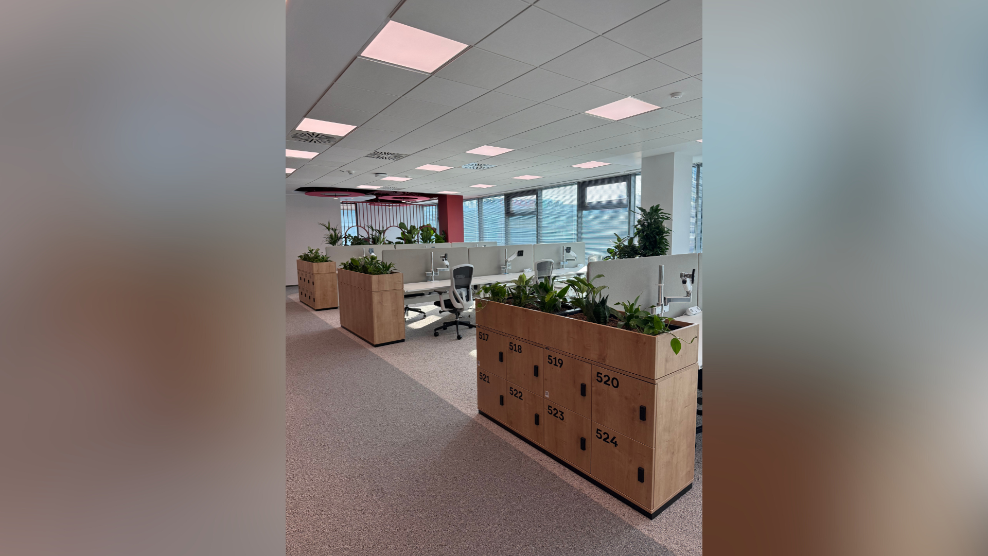 leasing plante interior pentru birouri corporate moderne