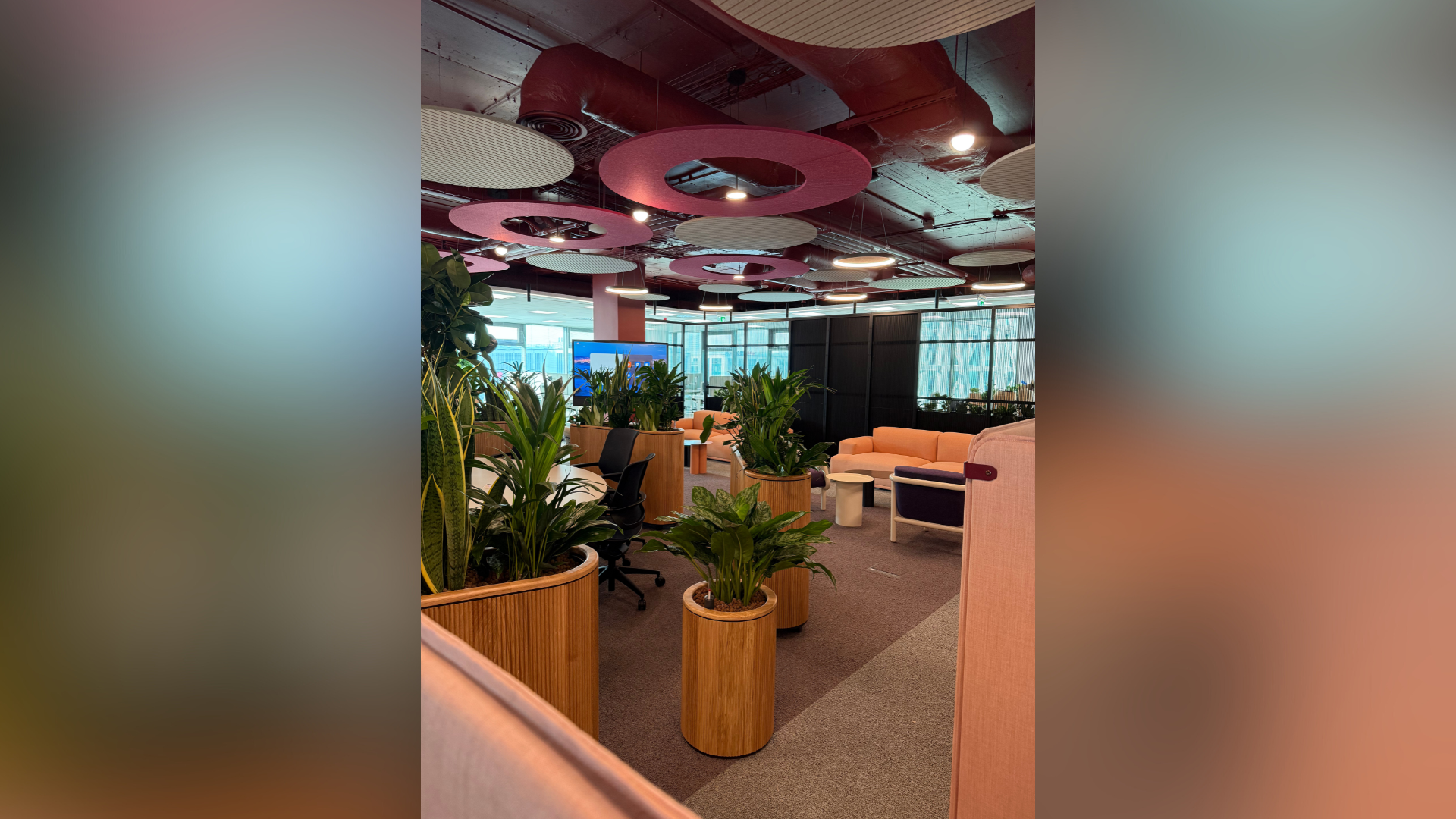 plante design corporate pentru birouri moderne si spatii verzi aliniate brandului