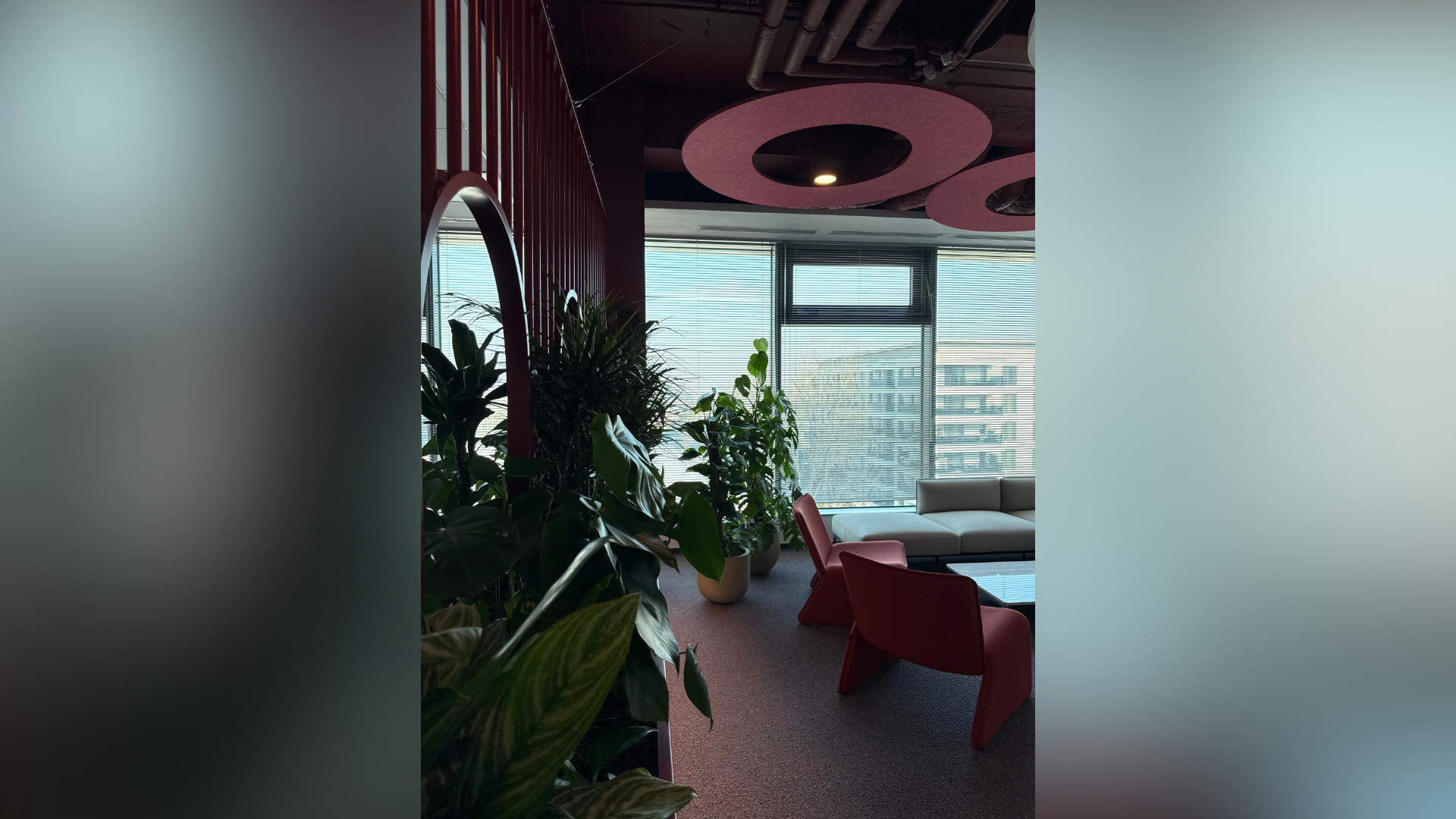 design vegetal birouri cu plante naturale pentru spatii corporate moderne
