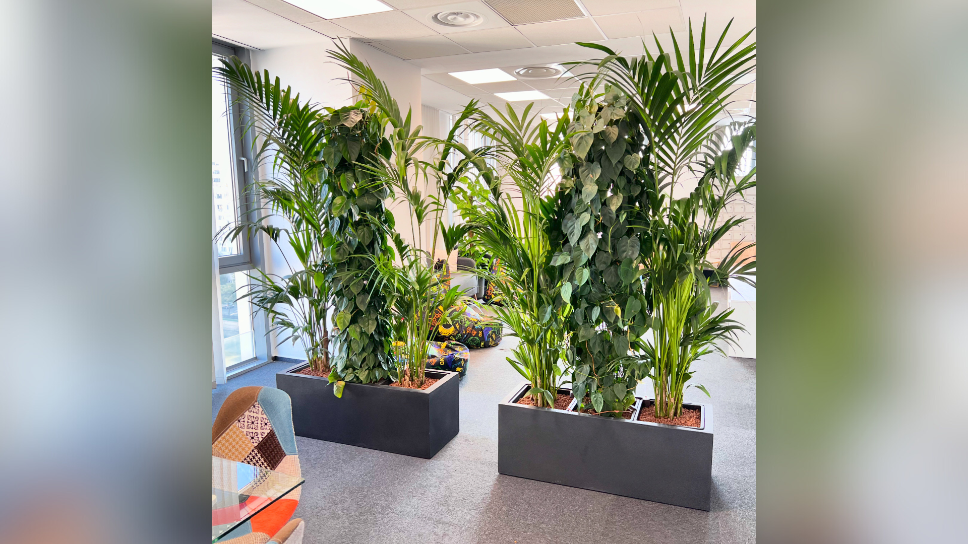 plante decorative clienti vizitatori in zona de receptie moderna