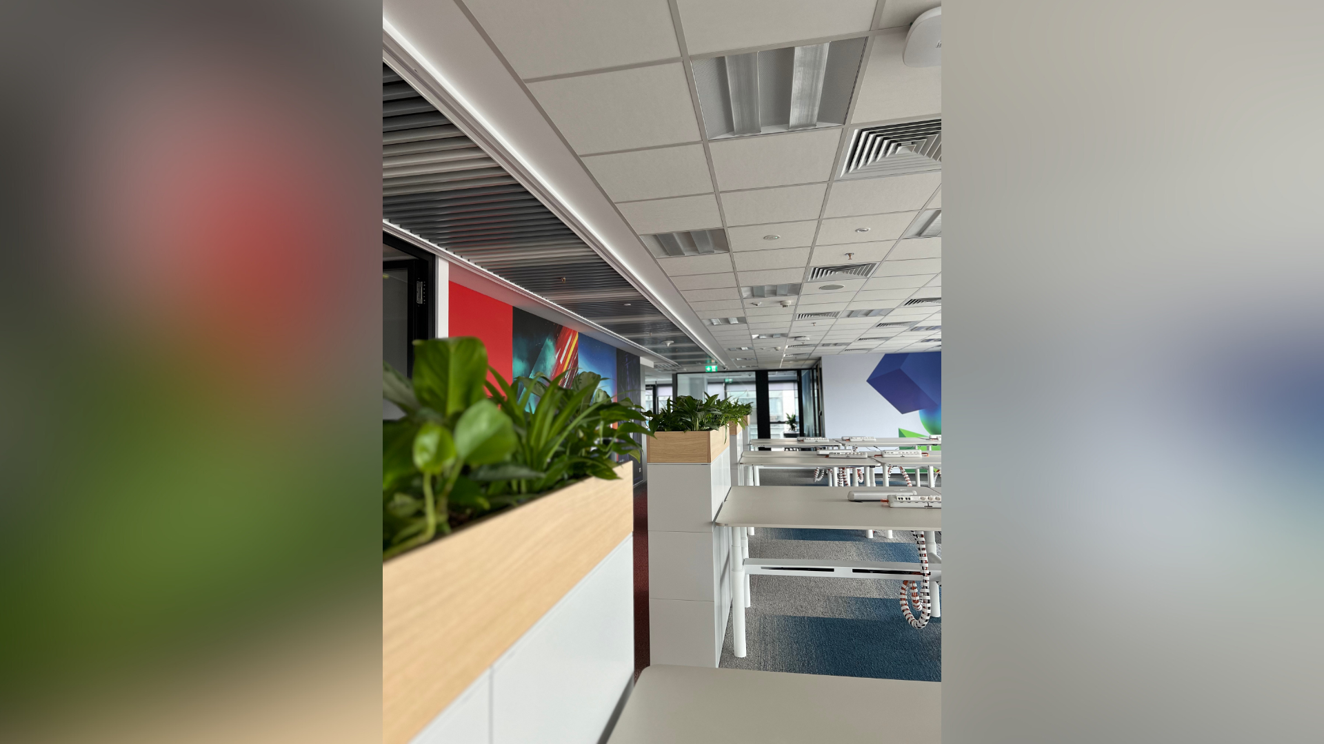 solutii verzi sedii corporate cu plante naturale pentru birouri moderne