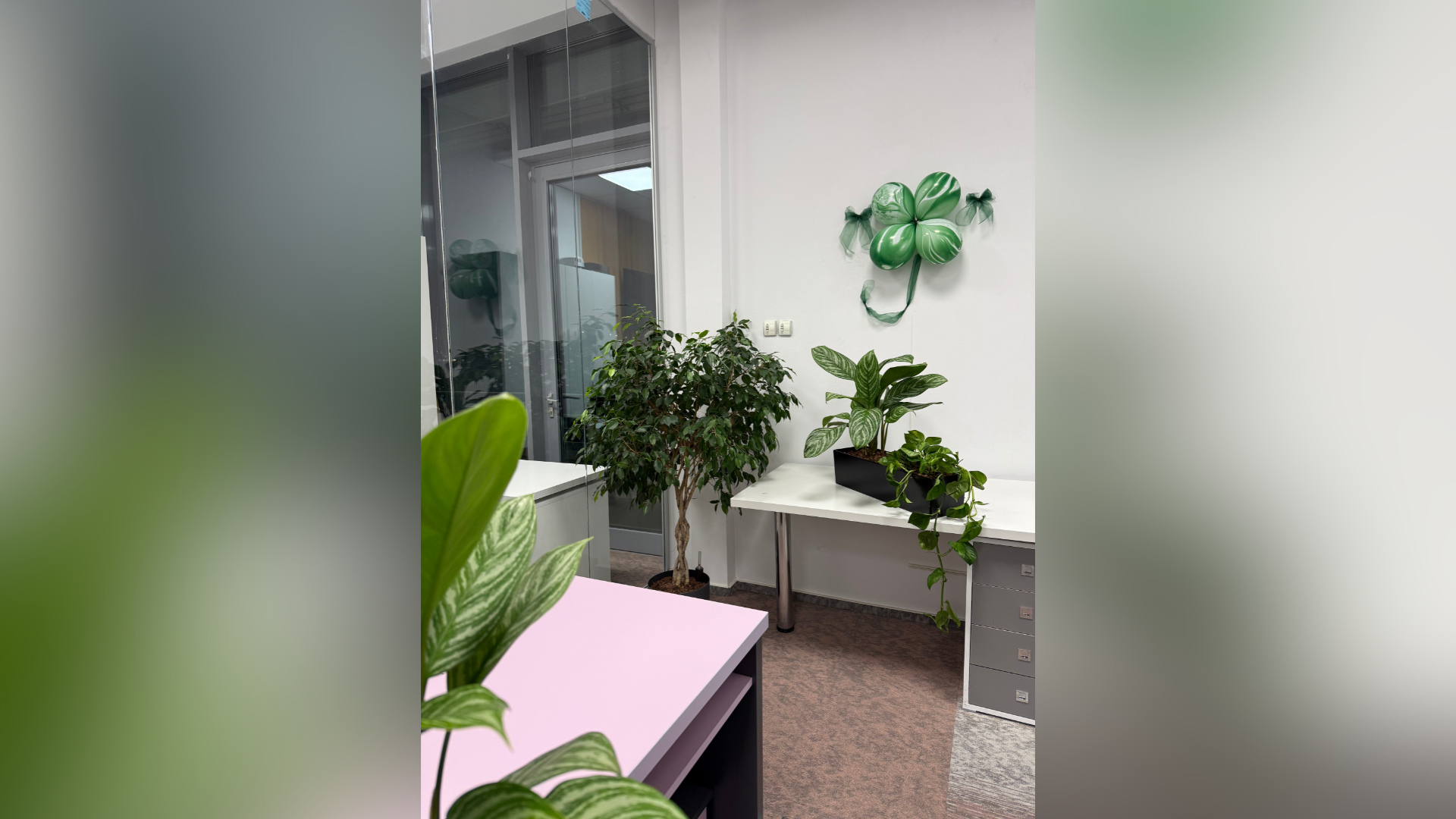leasing plante decorative pentru birou corporate modern