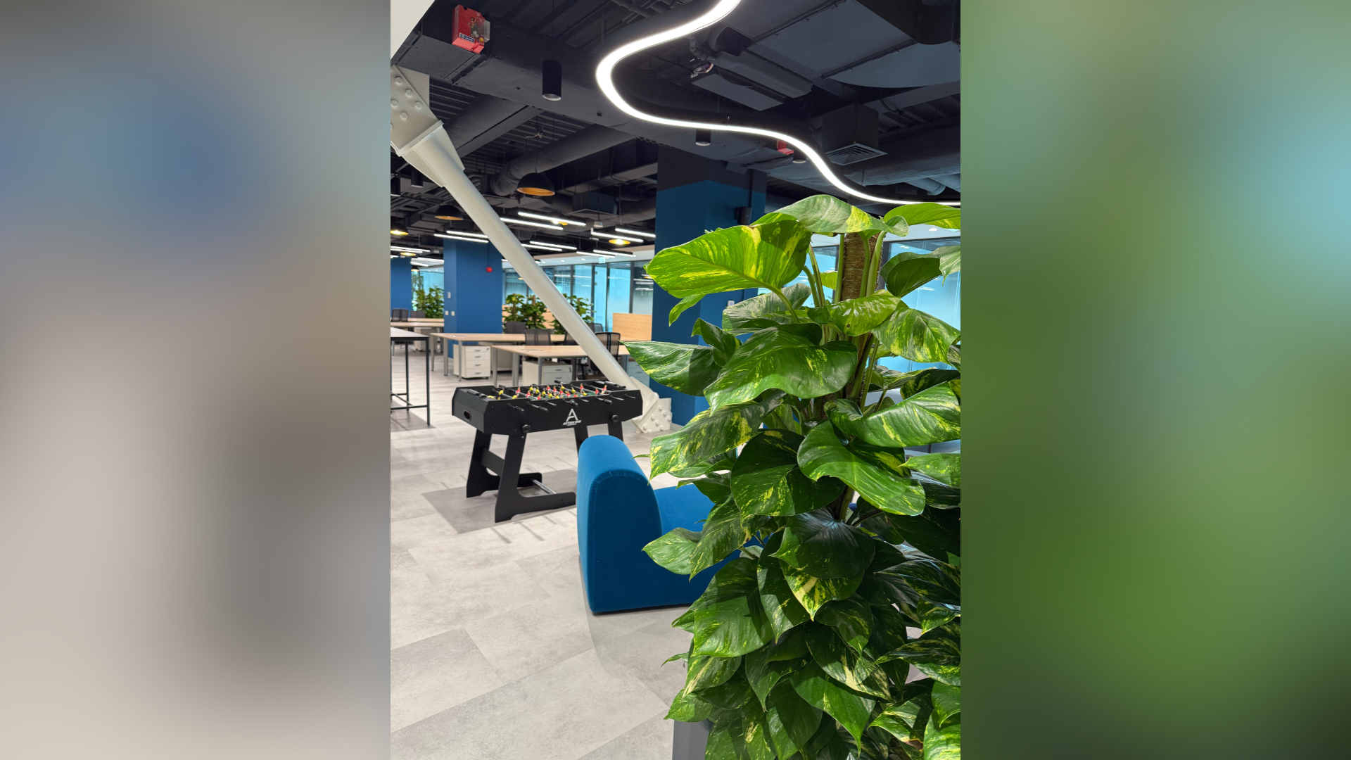 servicii plante companii pentru birouri moderne si spatii corporate