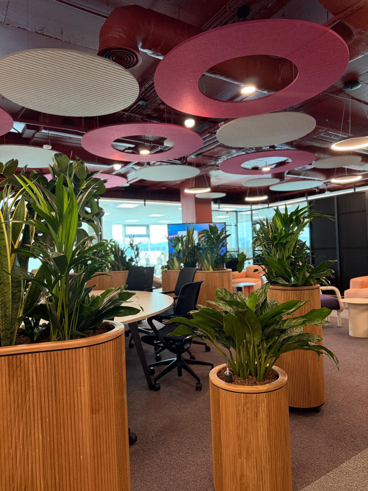 Amenajare birou cu plante naturale și perete verde într-un spațiu corporate