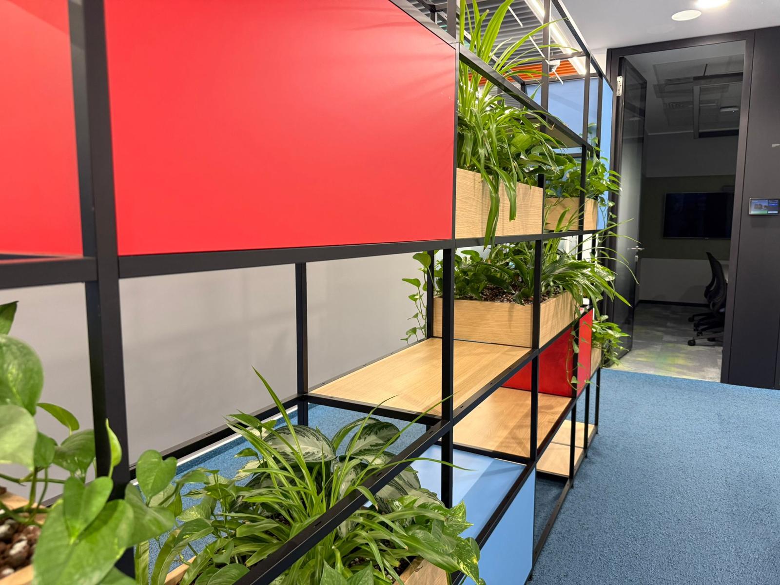 Amenajare cu plante naturale pentru spații corporate