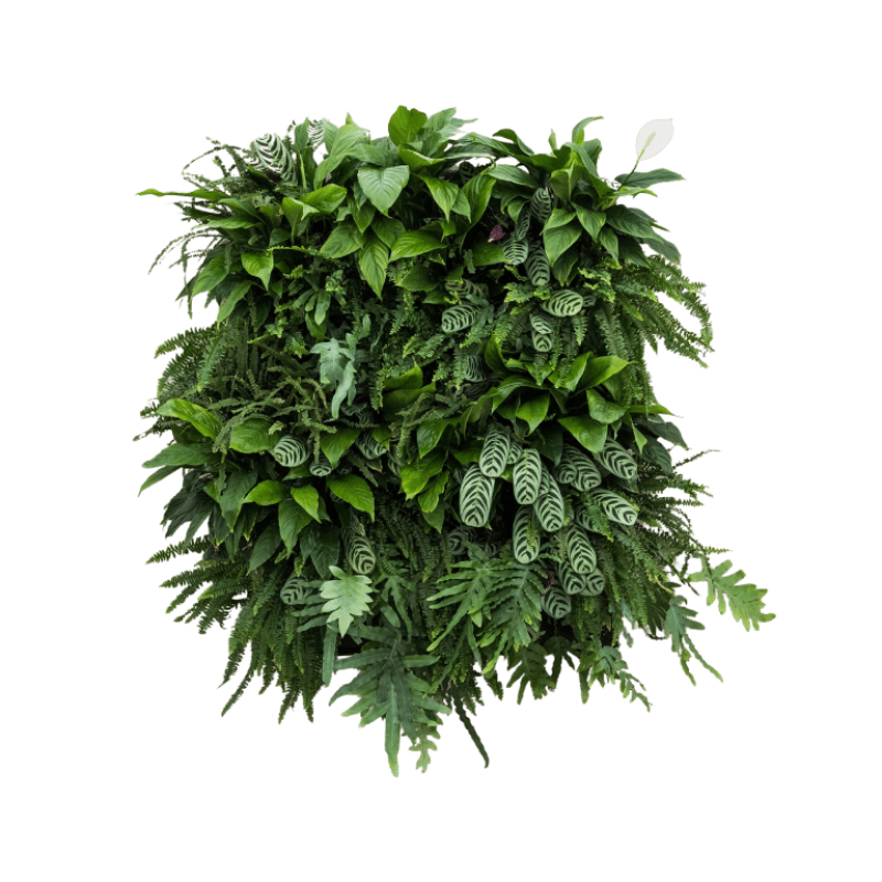 Miss-Green-17